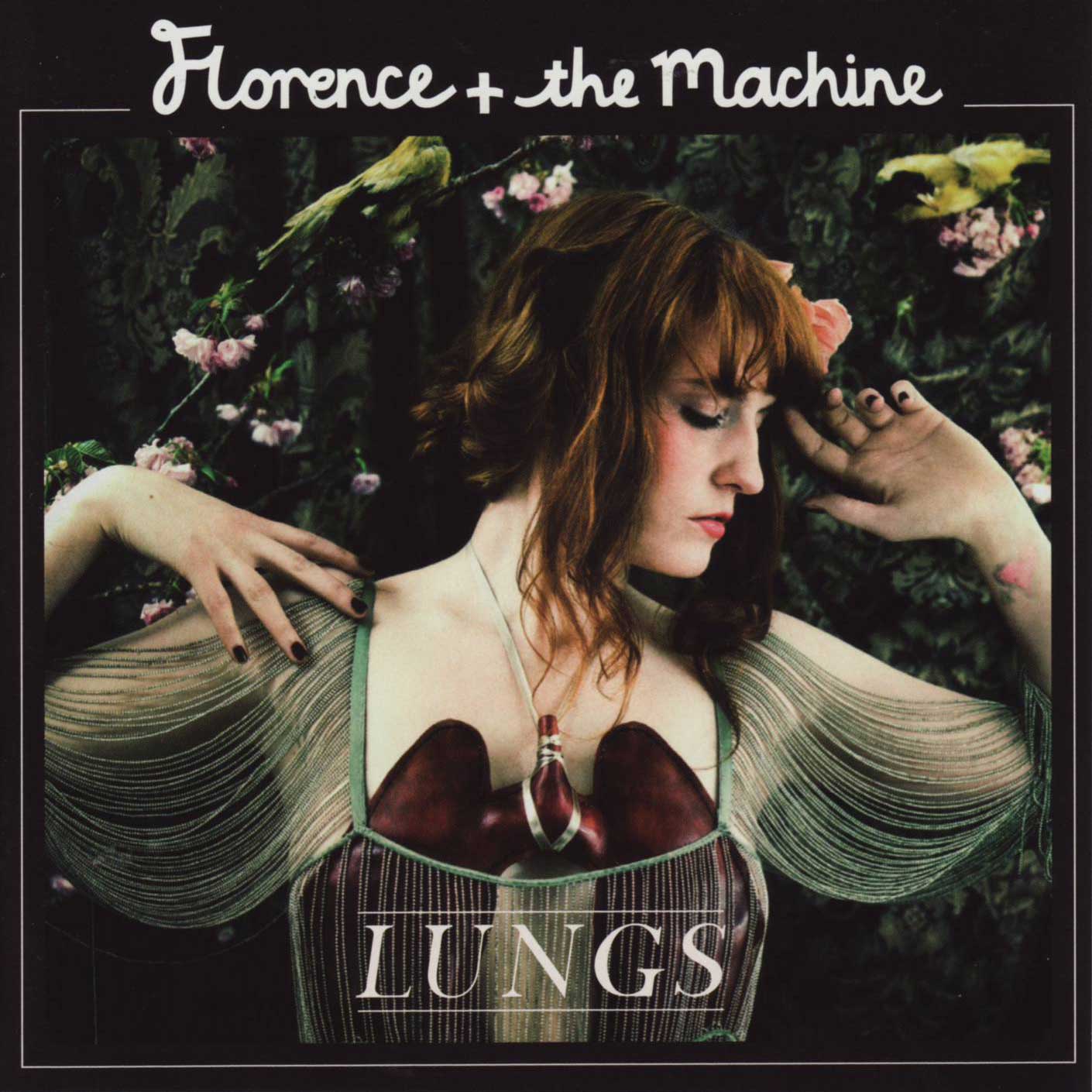Lungs